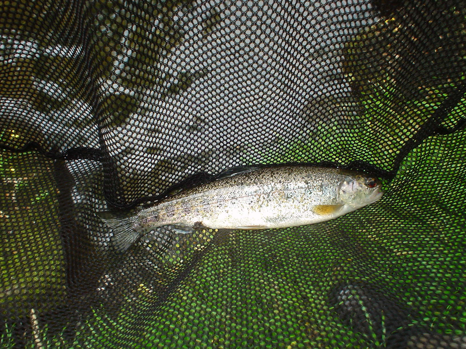 f0280717_14393907.jpg