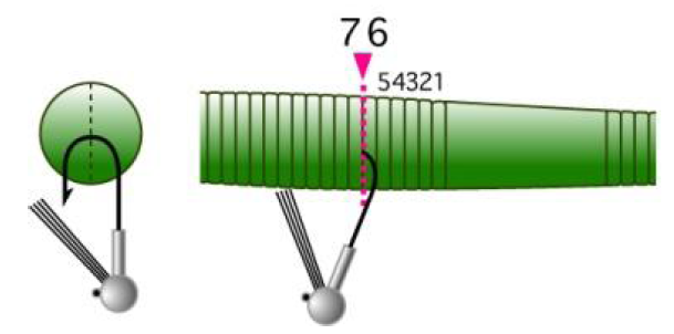 c0176622_09530459.png