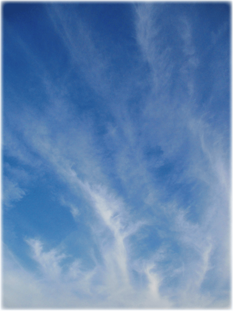 c0107829_08481751.gif