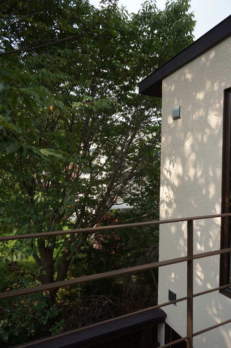 d0217833_8584291.jpg