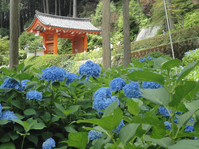 d0359338_8401100.jpg