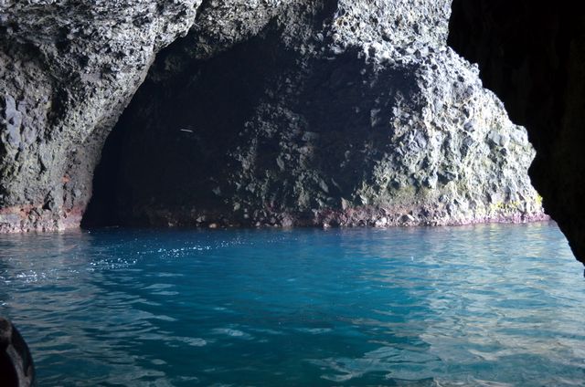 e0098241_1111688.jpg