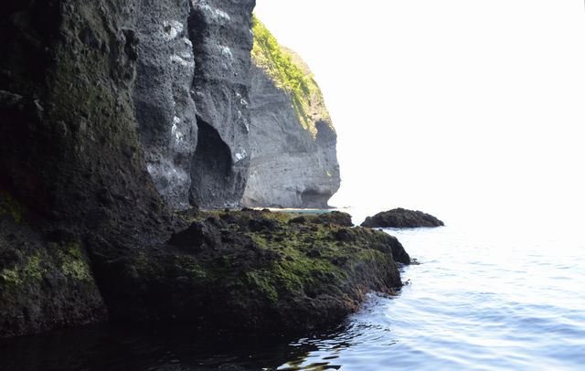 e0098241_11135345.jpg