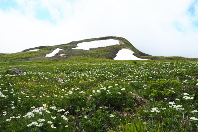 2017/6/17 焼石岳　中沼登山口より。_b0189948_035582.jpg