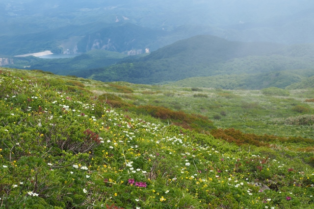 2017/6/17 焼石岳　中沼登山口より。_b0189948_043655.jpg