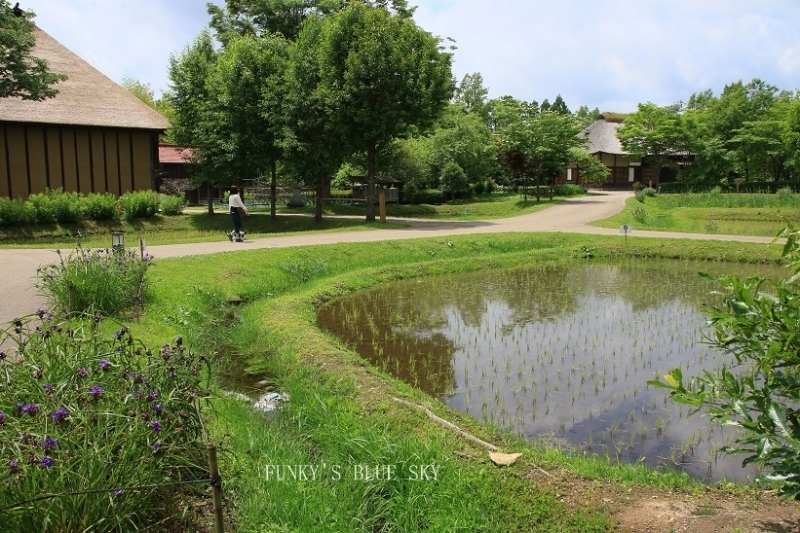 c0145250_09523140.jpg