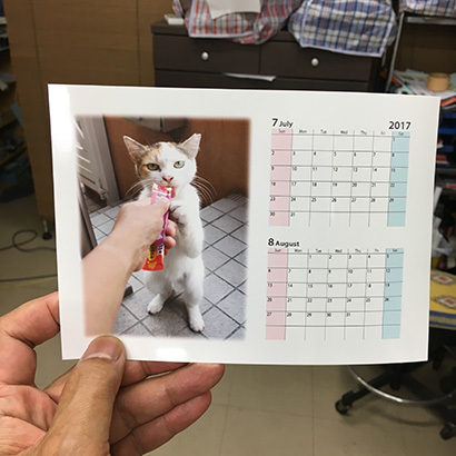 かよいのミケ子_a0028451_18073620.jpg