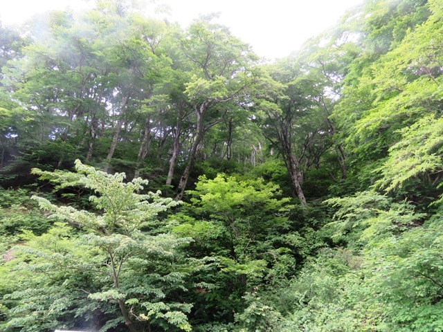 b0227552_10283284.jpg