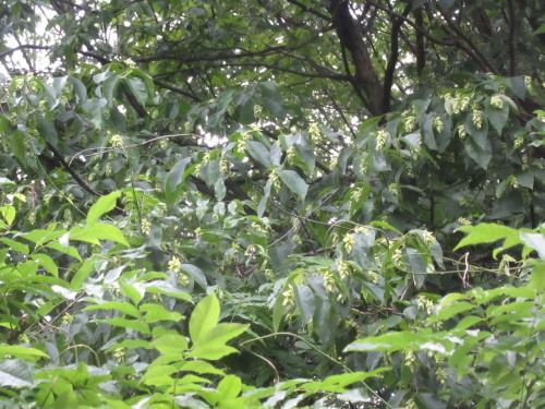 b0247153_22365787.jpg