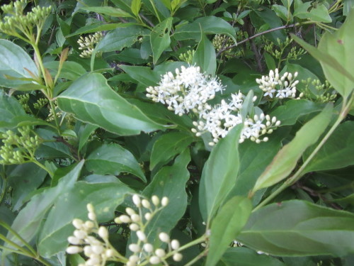 b0247153_22402034.jpg