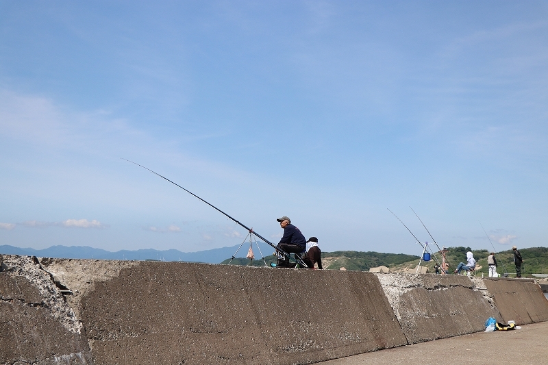 6月18日　江差・鴎島　４_b0250154_20452556.jpg