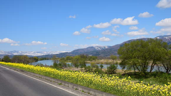 b0218664_10110523.png