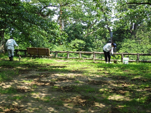 日本一の桜を守る夏の作業~施肥(お礼肥)~_d0131668_17312429.jpg