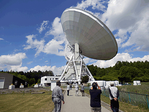 a0238278_10224150.gif