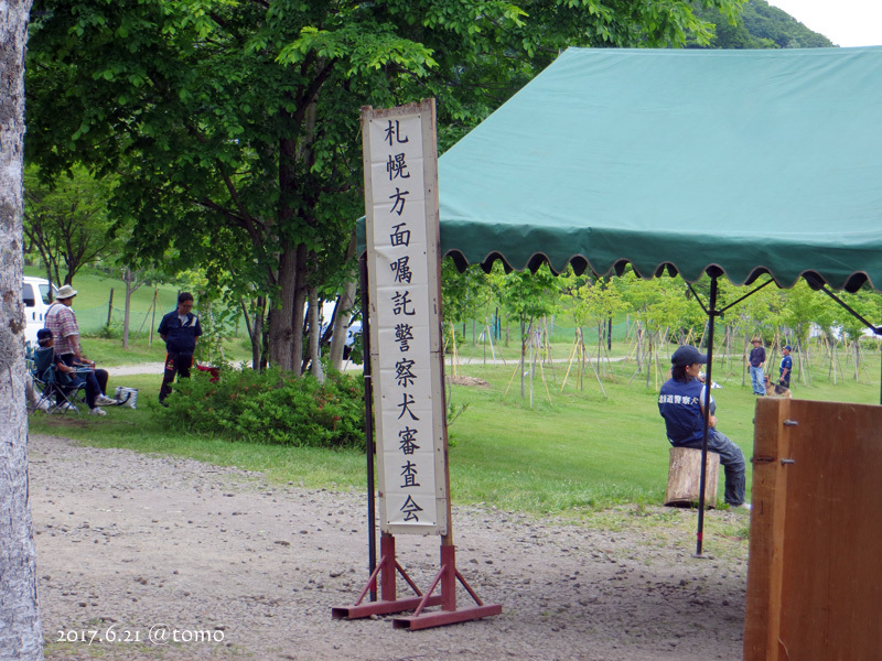 嘱託警察犬、審査会風景_f0067179_21463119.jpg