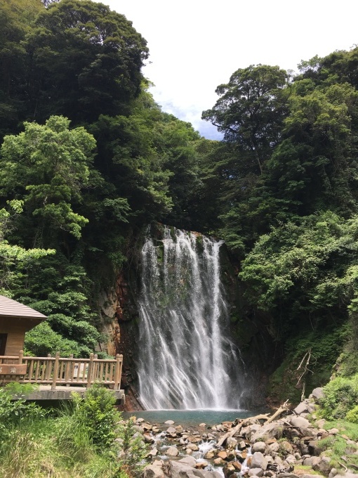 鹿児島案内初日_e0145589_23504705.jpg