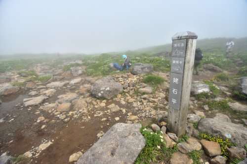 ハクサンイチゲロード！焼石岳登山②銀明水～姥石平～焼石岳山頂～姥石平_e0241691_17173952.jpg