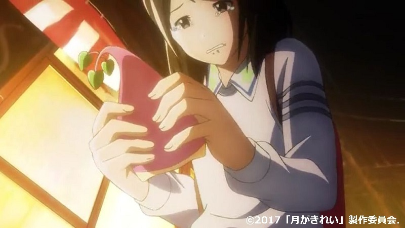 「月がきれい」舞台探訪010 川越市その8(第10話-2 川越祭りとその後のこと)_e0304702_07585018.jpg
