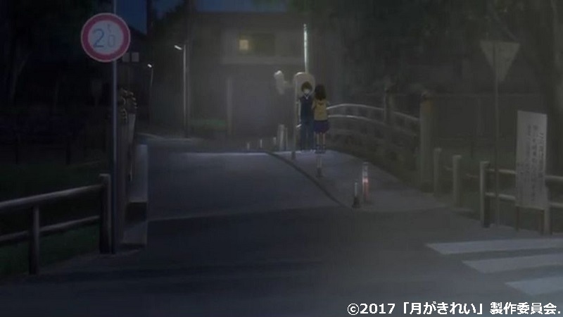 「月がきれい」舞台探訪010 川越市その8(第10話-2 川越祭りとその後のこと)_e0304702_08042408.jpg