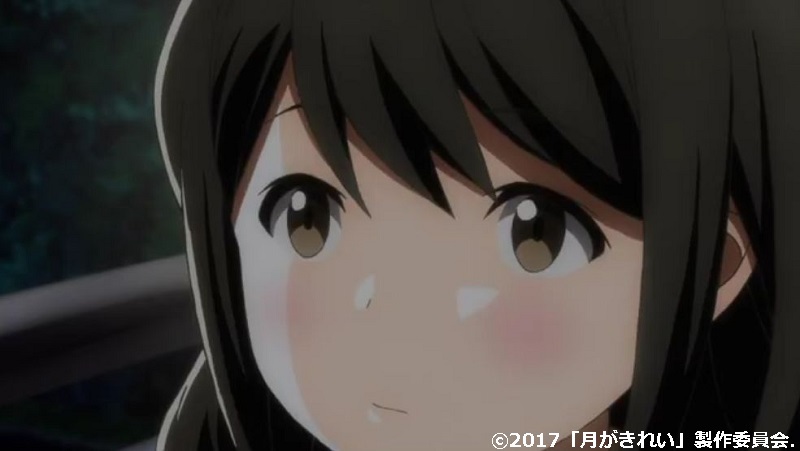 「月がきれい」舞台探訪010 川越市その8(第10話-2 川越祭りとその後のこと)_e0304702_08073102.jpg