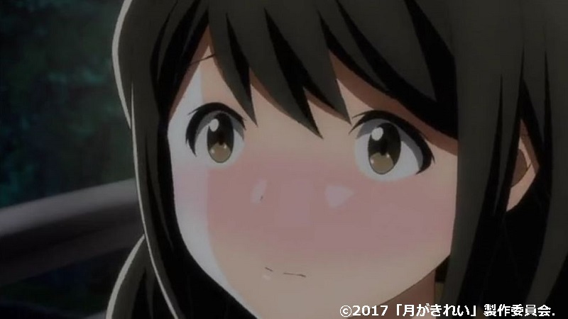 「月がきれい」舞台探訪010 川越市その8(第10話-2 川越祭りとその後のこと)_e0304702_08092172.jpg