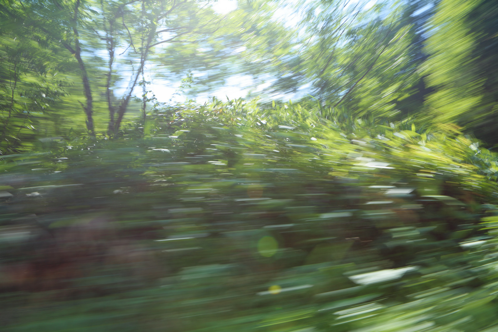 a0155104_17490616.jpg