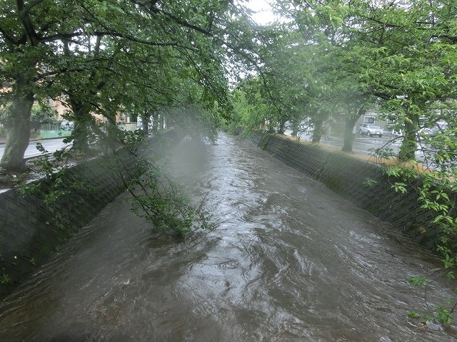 昨日の大雨、被害は? 今日は早速確認しなければ_f0141310_07490330.jpg