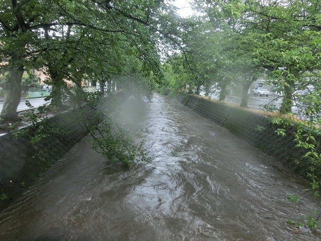 昨日の大雨、被害は？　今日は早速確認しなければ_f0141310_07490330.jpg