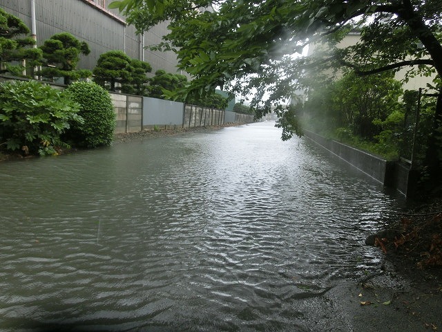 昨日の大雨、被害は？　今日は早速確認しなければ_f0141310_07505004.jpg