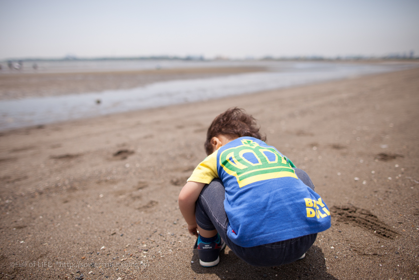 海辺の公園ピクニック　葛西臨海公園_c0369219_21482886.jpg