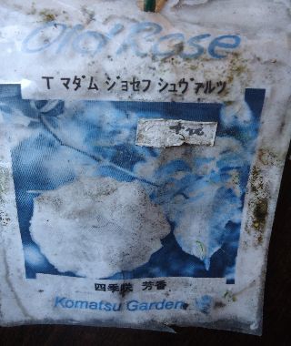 b0248920_13442870.jpg