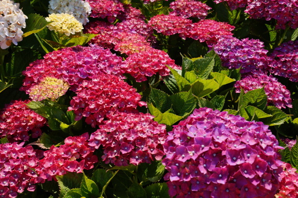 c0020320_14314251.jpg