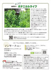 　京都新聞とりんごのおと最新版_e0103327_1348514.jpg