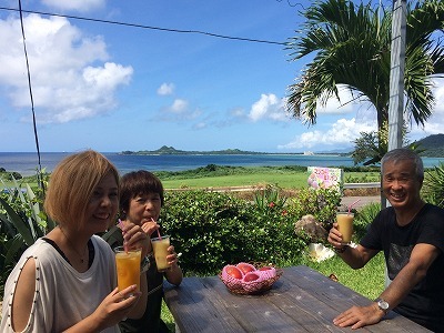 農園紹介no 12 石垣島フルーツランド 八重山マンゴー研究会