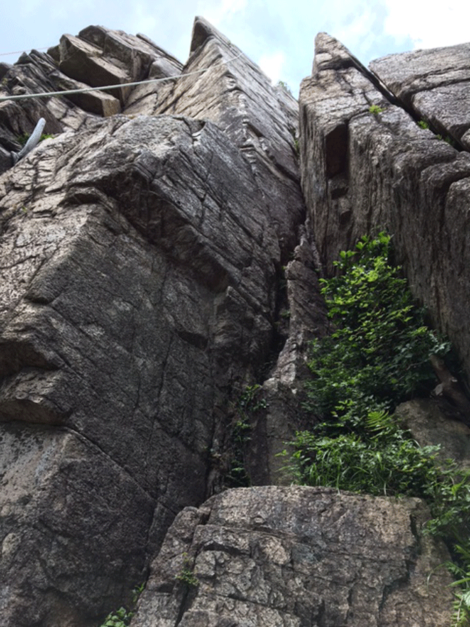 e0371039_10482251.gif