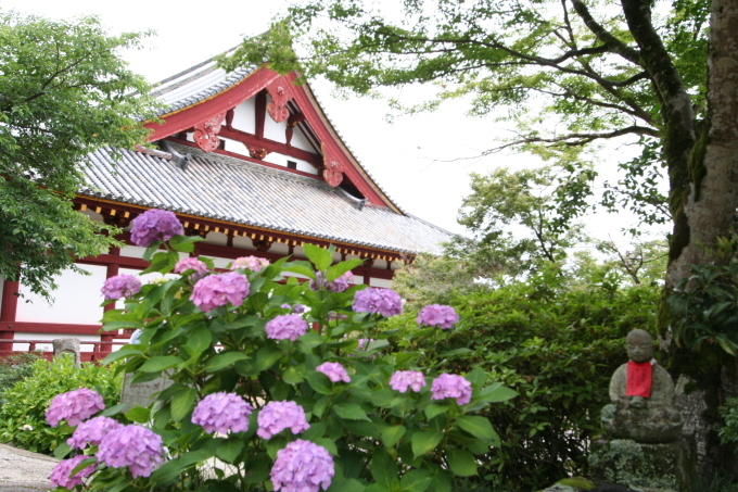 あじさい寺（矢田寺）　２０１７．６．２２．_e0051645_17272920.jpg