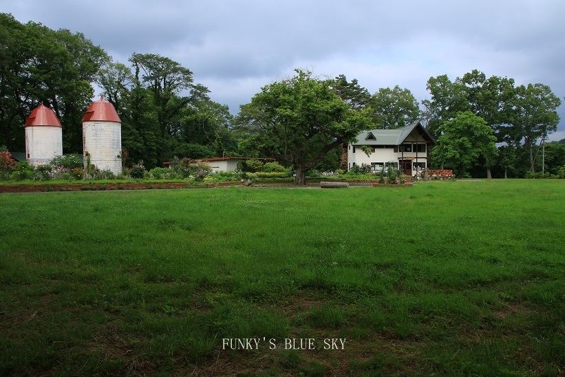 c0145250_09142056.jpg