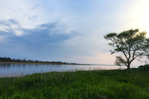 ニムオロ原野の旅（北海道）春国岱＃１_b0346055_17393950.jpg