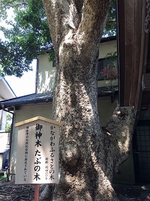 b0145863_20221112.jpg