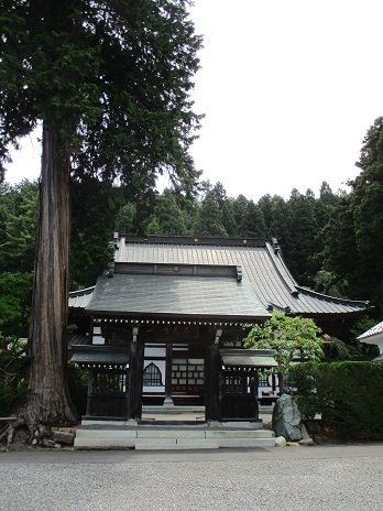 2日目は雨上がりの紫陽花寺へ_a0157268_23095927.jpg