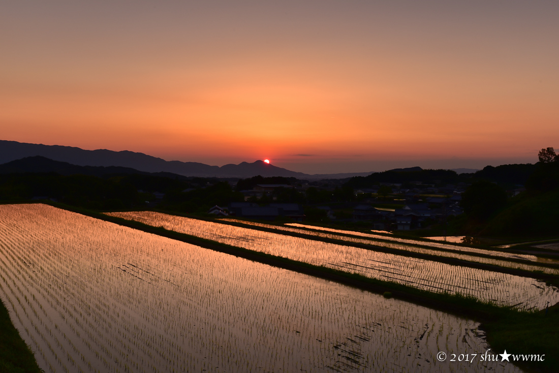 田圃のなかの宙：8：Epilogue_a0142976_12571019.jpg