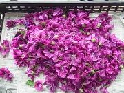 マロウの花がいっぱい 自然からの贈り物 草木染め マロウの花がいっぱい 自然からの贈り物 草木染め