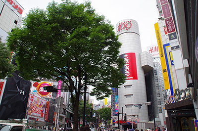 b0056983_14563886.jpg