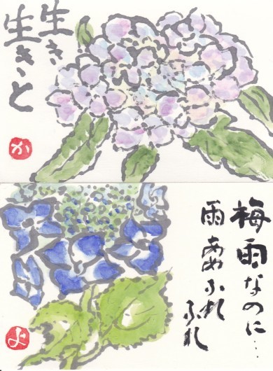 絵手紙便り 15枚の紫陽花や お孫さん 消しゴムハンコ Nonkoの絵手紙便り