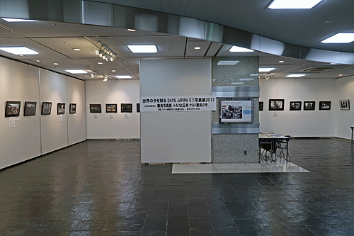 a0188487_177398.jpg
