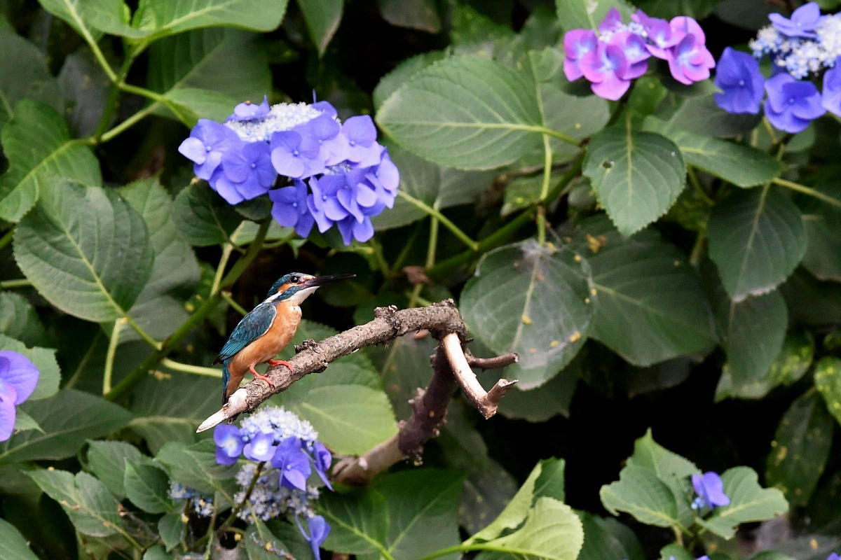 c0144588_17060227.jpg