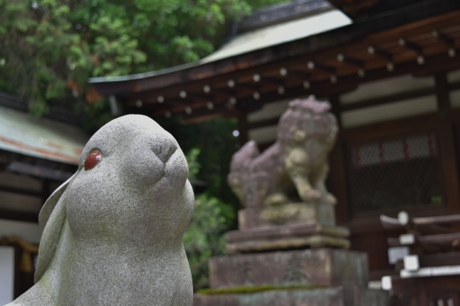 うさぎみくじ かわいいですね(･x･) 岡崎神社 京都_f0361590_20533170.jpg