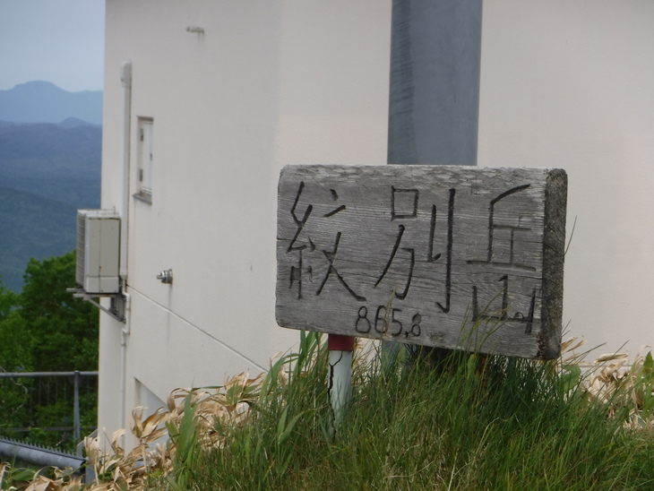 d0198793_17365969.jpg