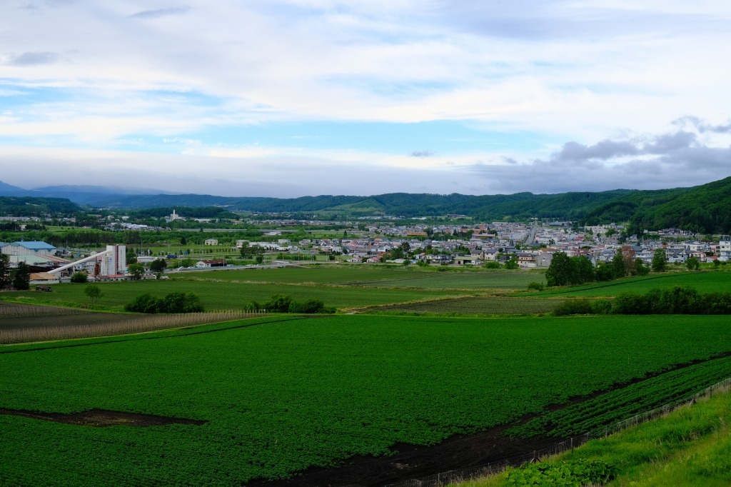d0051707_20133363.jpg