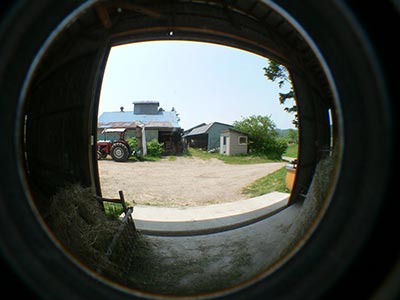 6/20。（神社の植樹と廃プラとダンプ引取軽トラ修理牧草の収穫）_b0156608_21423151.jpg